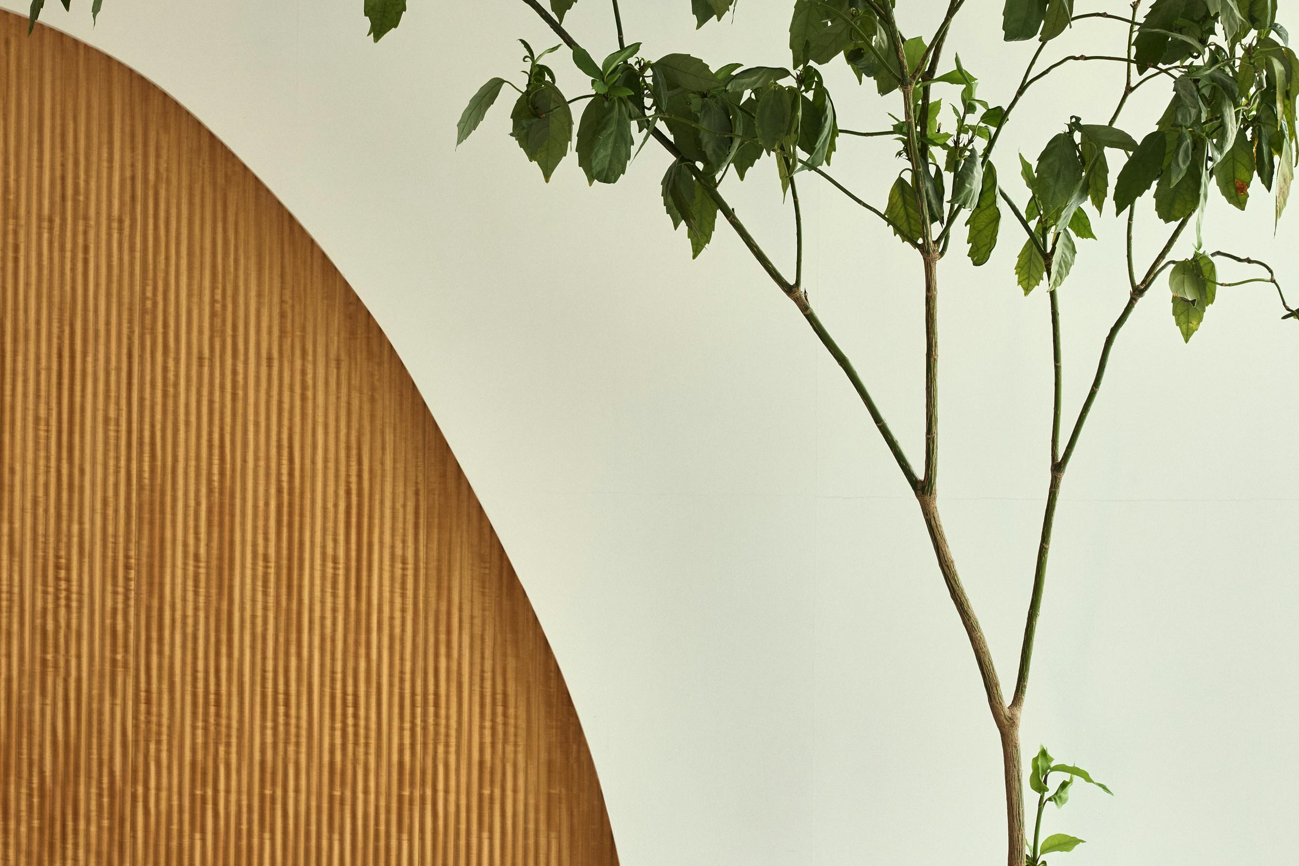 【明治神宮前駅4分/原宿駅4分】自然光あふれる白壁モルタルのミニマルなイベントスペース/展示会・ポップアップ・撮影に最適