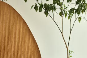 【明治神宮前駅4分/原宿駅4分】自然光あふれる白壁モルタルのミニマルなイベントスペース/展示会・ポップアップ・撮影に最適