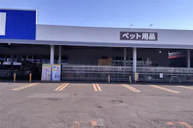 【サンデー弘前石渡店】屋外駐車場 キッチンカーの出店に最適なホームセンター内駐車場の屋外イベントスペース