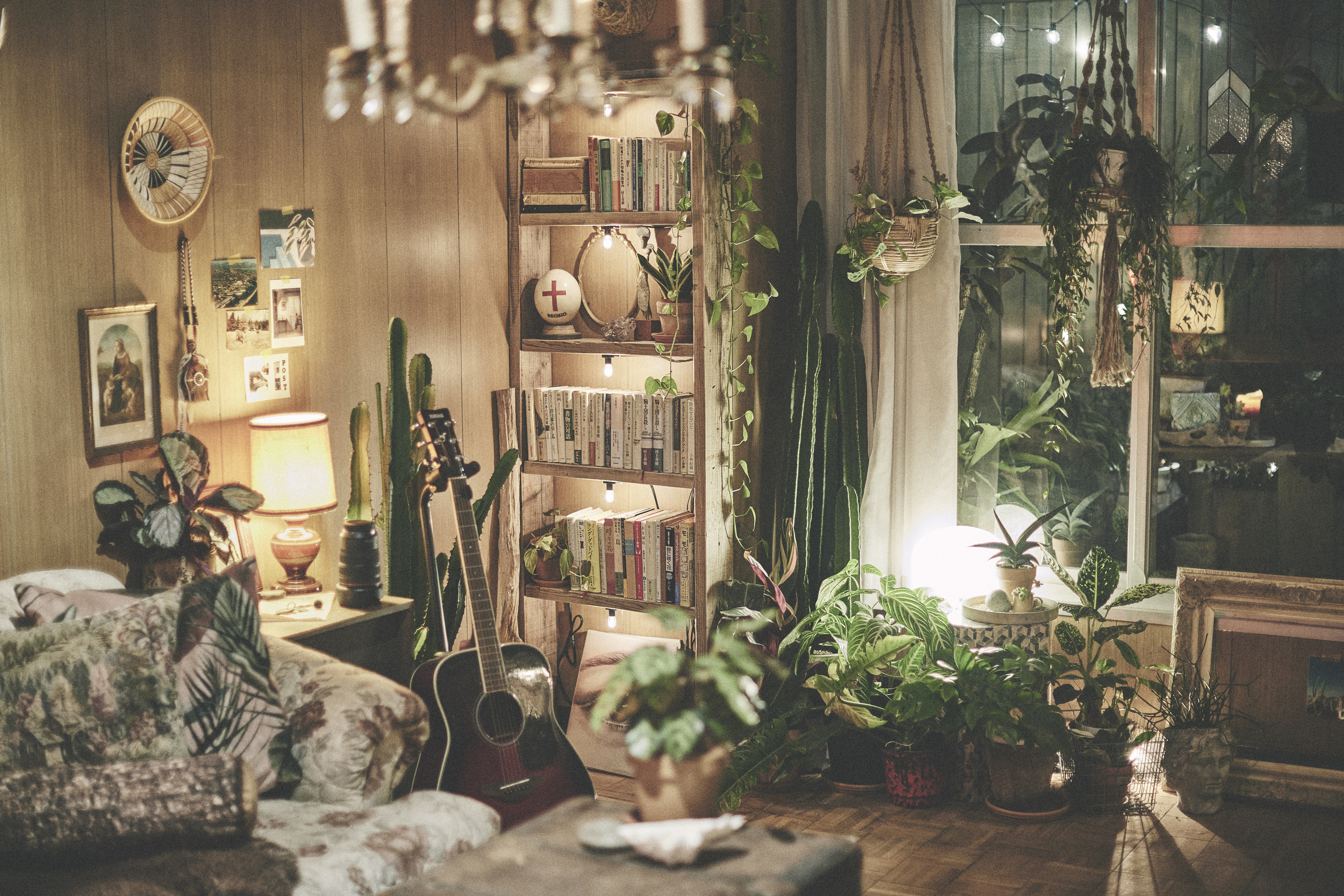 ライトアップされたブックシェルフ