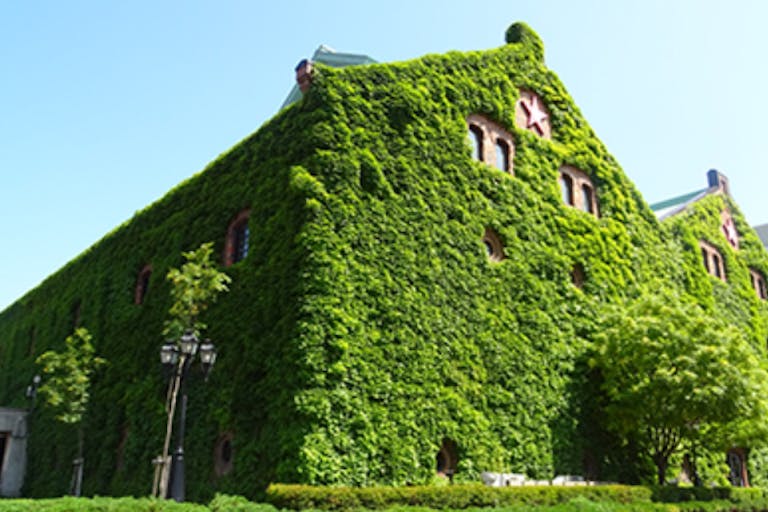 【サッポロファクトリー】大規模な展示販売会やプロモーションイベントに最適な西広場内にある屋外イベントスペースの画像1