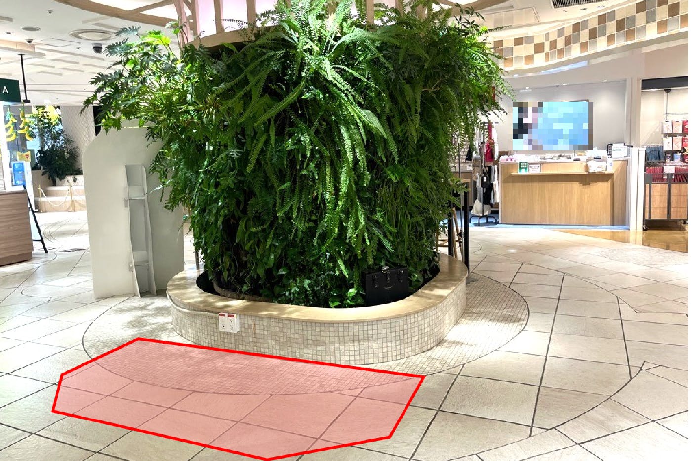エスカレーター方面から見た様子です