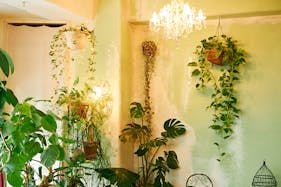 【江戸川橋駅5分】ポップアップストアや展示会に最適なガーリーでシックなイベントスペース