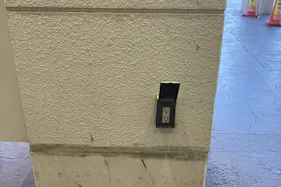 【ミスターマックス 新習志野店】マツキヨ前 販促プロモーションや物販用途に最適な総合ディスカウントストアの催事イベントスペース