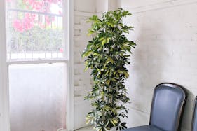 【大阪港駅4分】海近くのレトロビル1F|窓から自然光が入る広い空間|駐車2台可|ペット撮影要相談