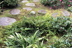 【近鉄津新町駅10分】ギャラリー・撮影やワークショップ等の様々な用途に適した歴史ある古民家スペース