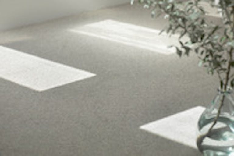 優しい色合いのカーペット床