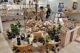 【草加マルイ】1階 カレンダリウムD01【食物販・物販】店内入ってすぐの好立地、什器の貸出も可能