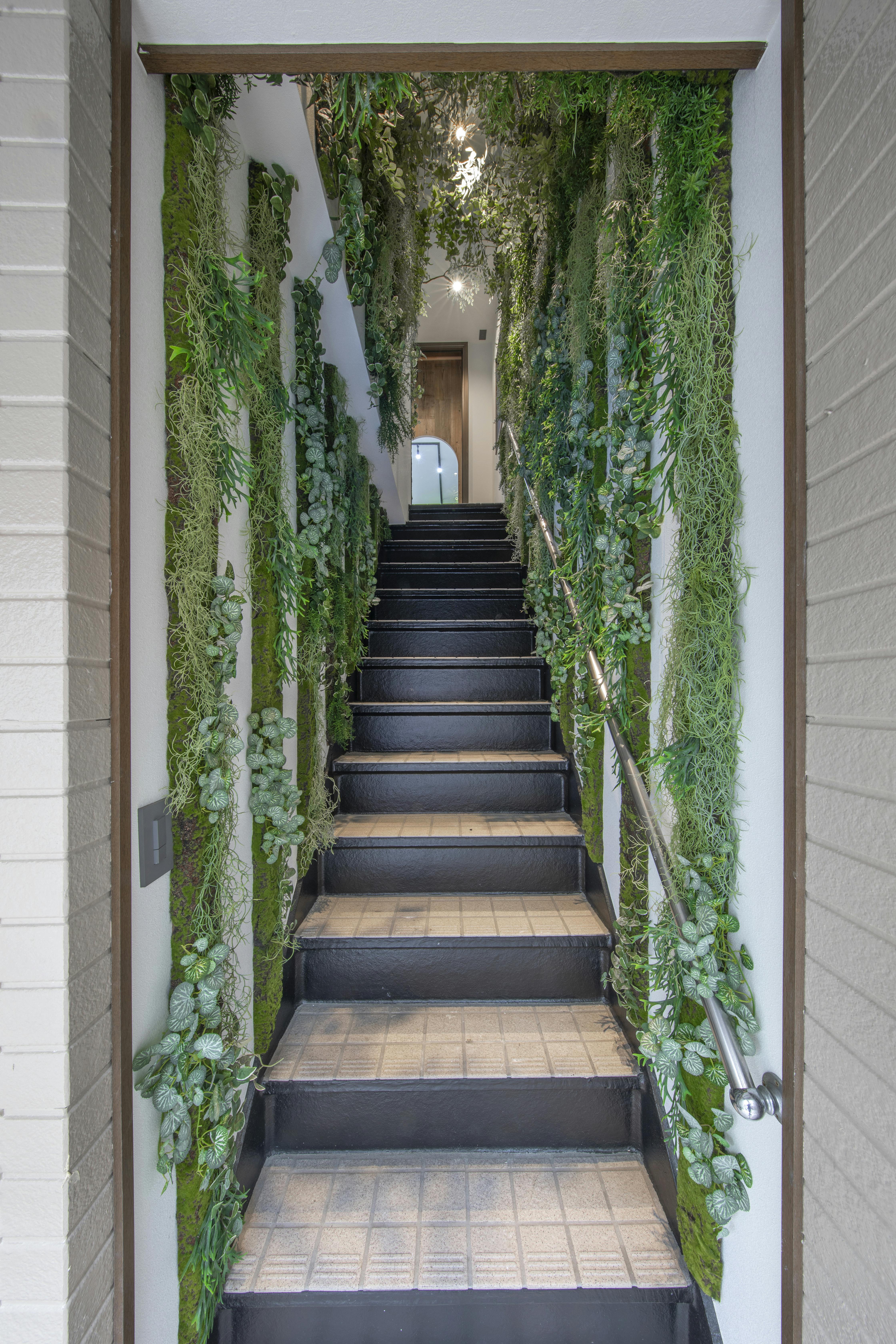 緑の雰囲気で入口からおしゃれです!