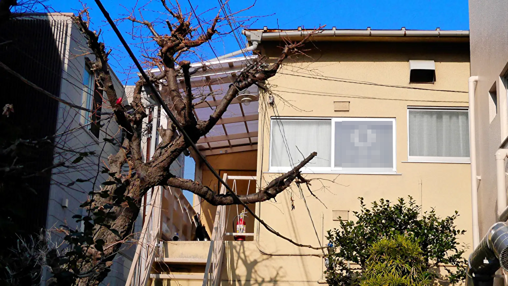 外観。窓に看板があります。