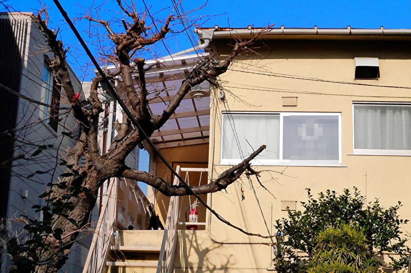 【表参道駅3分】展示会やポップアップに最適なナチュラルかつ温かみのあるイベントスペース