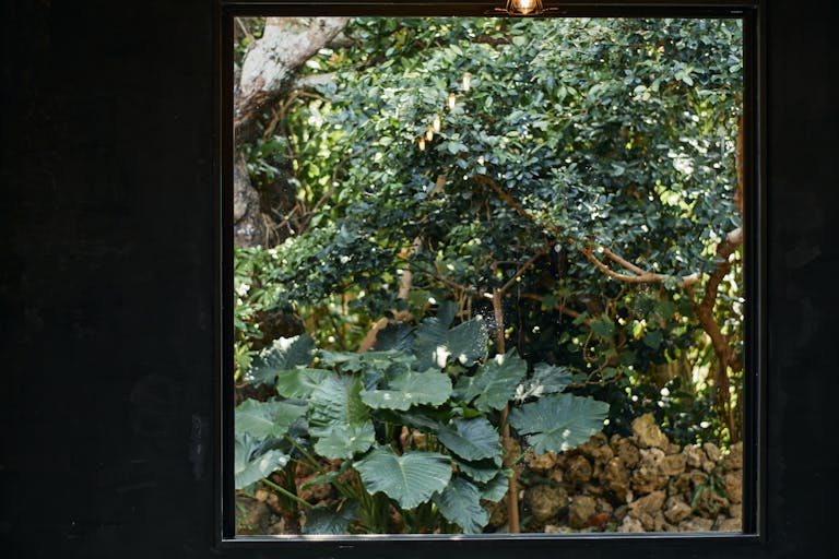 【沖縄県宮古島エリア】各種ポップアップや招待制の展示会に最適なナチュラルモダンな雰囲気が特徴的な路面スペースの画像13