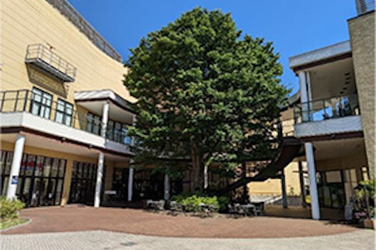 【イオンモール多摩平の森】1F 湧き水の広場の画像2