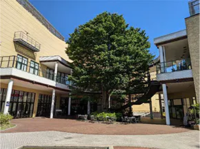 【イオンモール多摩平の森】1F 湧き水の広場