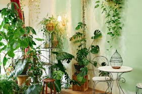 【江戸川橋駅5分】ポップアップストアや展示会に最適なガーリーでシックなイベントスペース