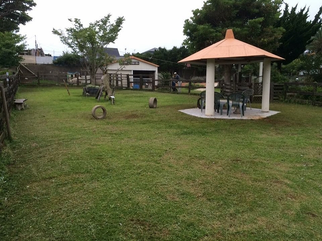 ドッグラン併設