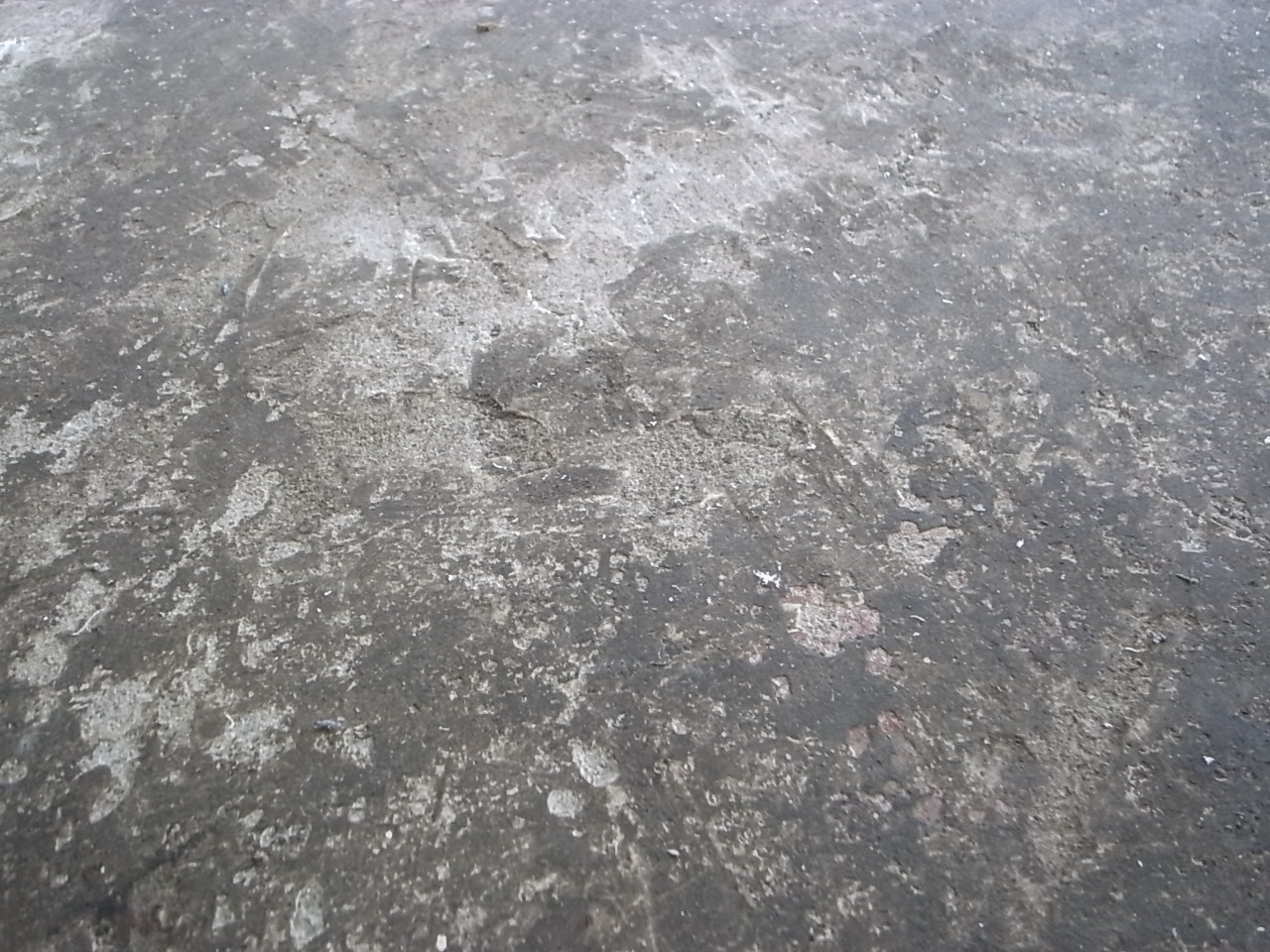 コンクリートの床面は無骨な雰囲気