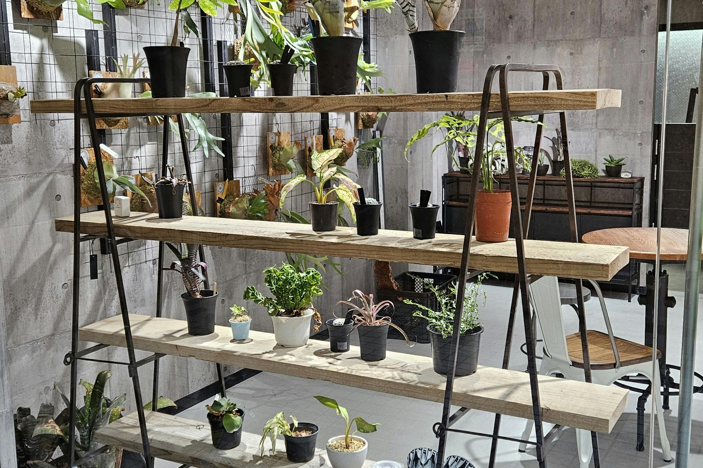 【東京都 品川区 立会川西商店街(路面店)/立会川駅1分 大井町駅徒歩15分】各種ポップアップストアや展示販売会に最適な商店街内にある植物に囲まれた路面スペース