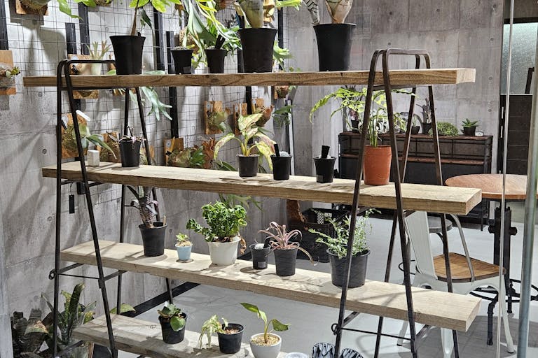 【東京都 品川区 立会川西商店街(路面店)/立会川駅1分 大井町駅徒歩15分】各種ポップアップストアや展示販売会に最適な商店街内にある植物に囲まれた路面スペースの画像5