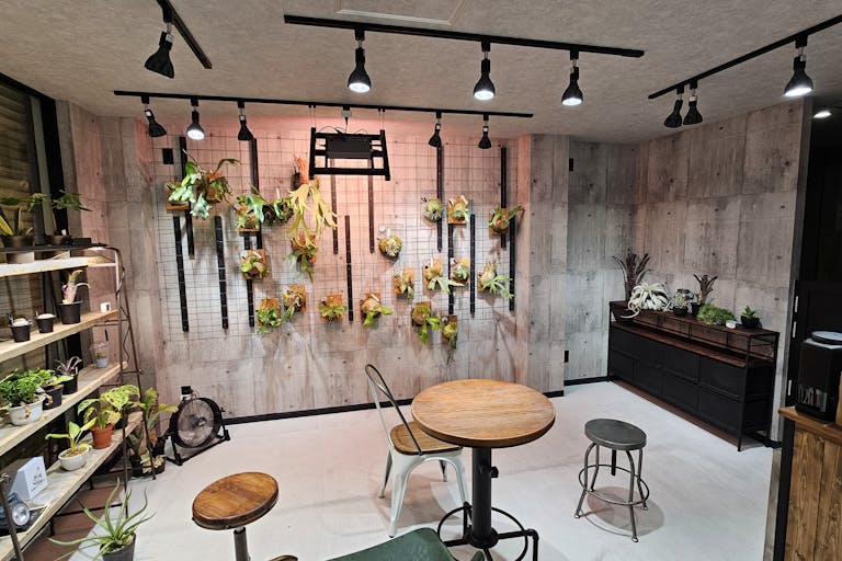 【東京都 品川区 立会川西商店街(路面店)/立会川駅1分 大井町駅徒歩15分】各種ポップアップストアや展示販売会に最適な商店街内にある植物に囲まれた路面スペースの画像32