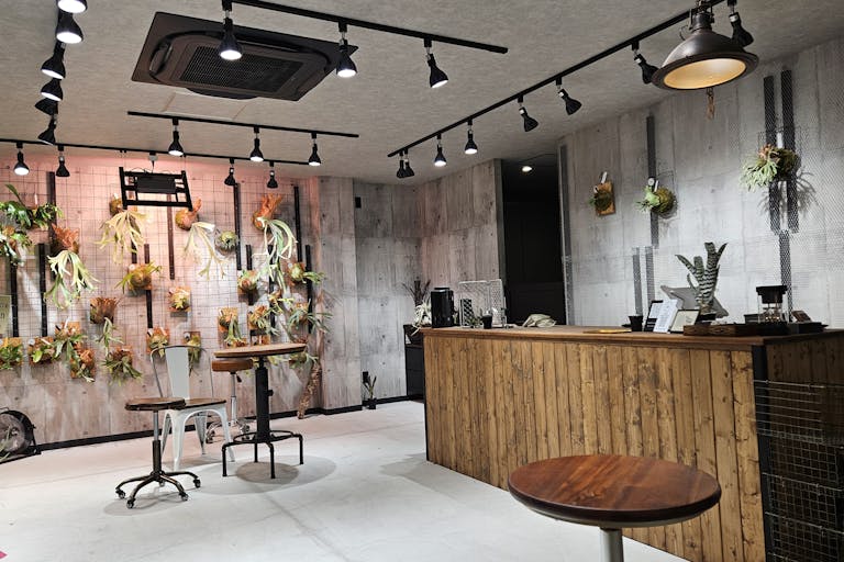 【東京都 品川区 立会川西商店街(路面店)/立会川駅1分 大井町駅徒歩15分】各種ポップアップストアや展示販売会に最適な商店街内にある植物に囲まれた路面スペースの画像2