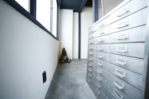 【心斎橋駅4分】四ツ橋駅からもアクセス可能!撮影会や小規模イベントに最適なアメリカ村にあるナチュラルテイストな隠れ家的デザイナーズレンタルスペース