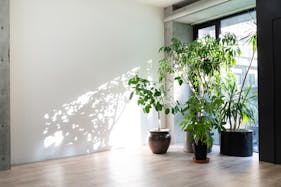 【渋谷神南エリア】白壁×コンクリート造りのスタイリッシュでモダンな空間 / 自然光も入る静かなスペース