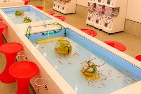 【江ノ島駅4分】大人気!物販、食物販のポップアップストア、プロモーション等に最適な「江ノ島金魚」の軒先イベントスペース