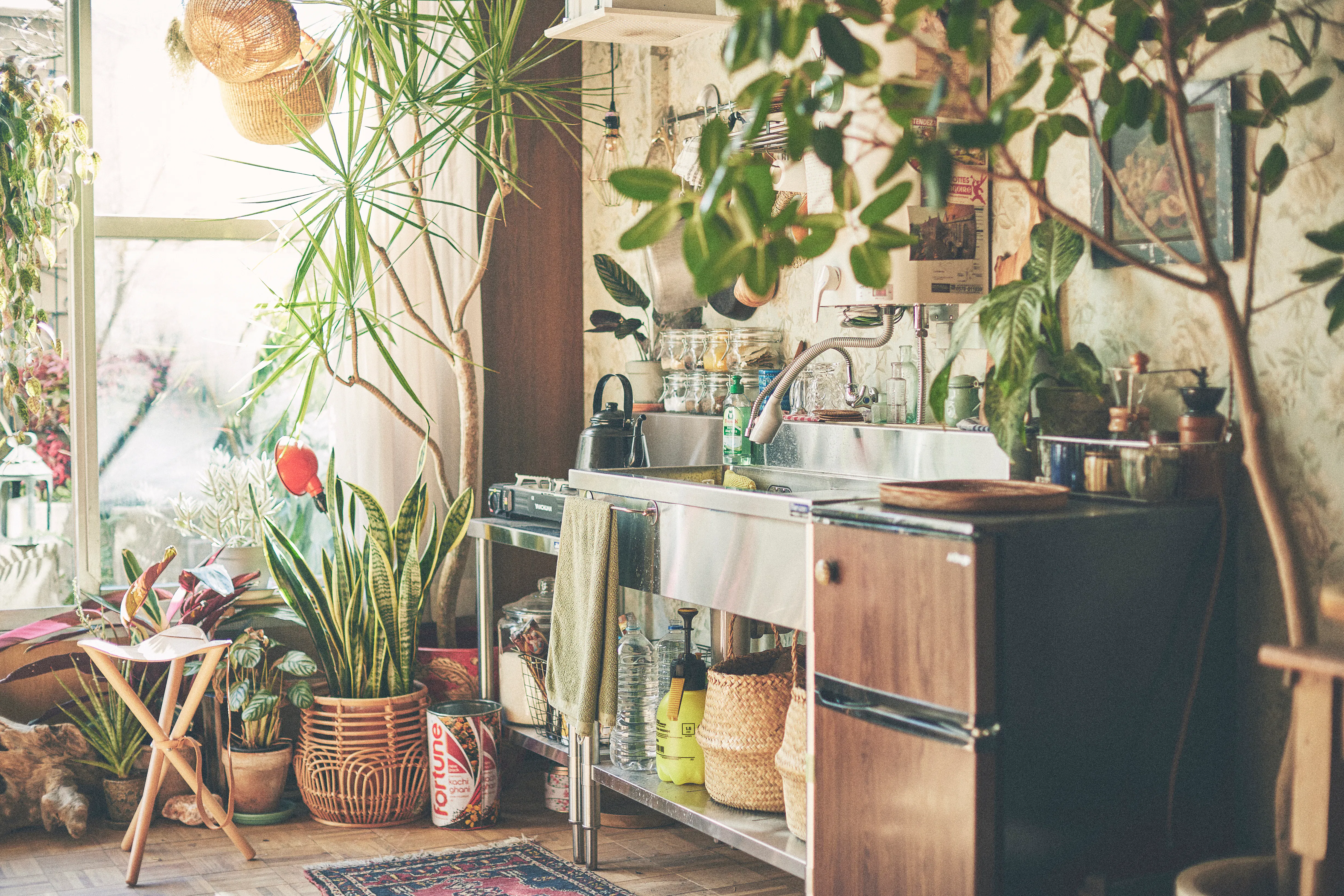 【三軒茶屋駅2分】CMやミュージックビデオ、ファッション系の撮影に最適な、山の暮らしをイメージした路面スタジオ