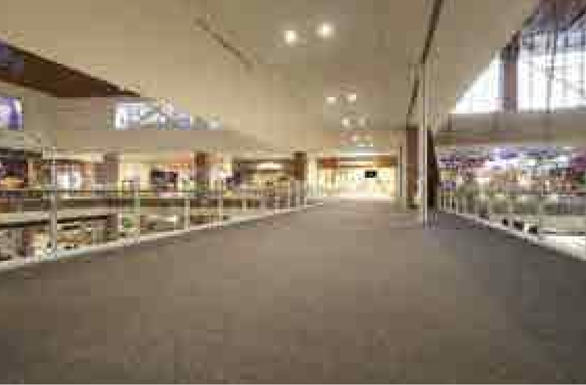 【イオンモール沖縄ライカム】4F 大型ビジョン前ブリッジ