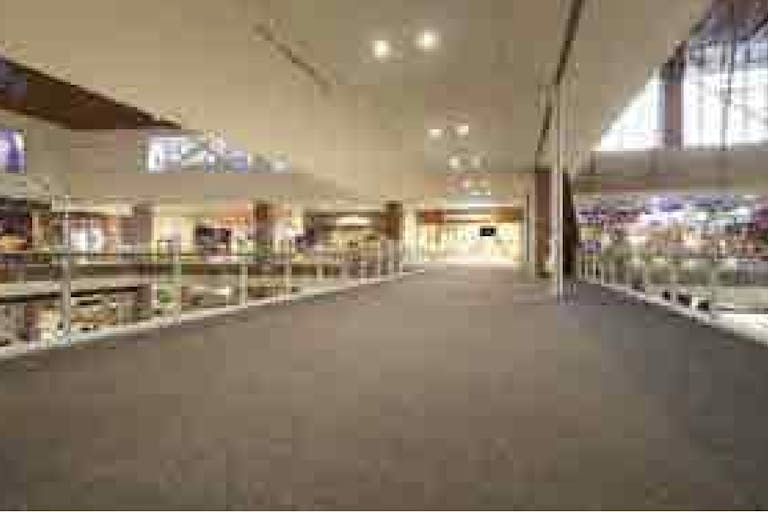 【イオンモール沖縄ライカム】4F 大型ビジョン前ブリッジの画像3