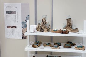 【新宿マルイアネックス】1階 カレンダリウムF01【食物販・物販】入口すぐの好立地、ガラス棚や備え什器あり