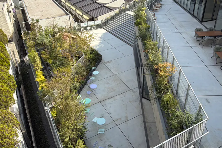 Biotope上部からの景観