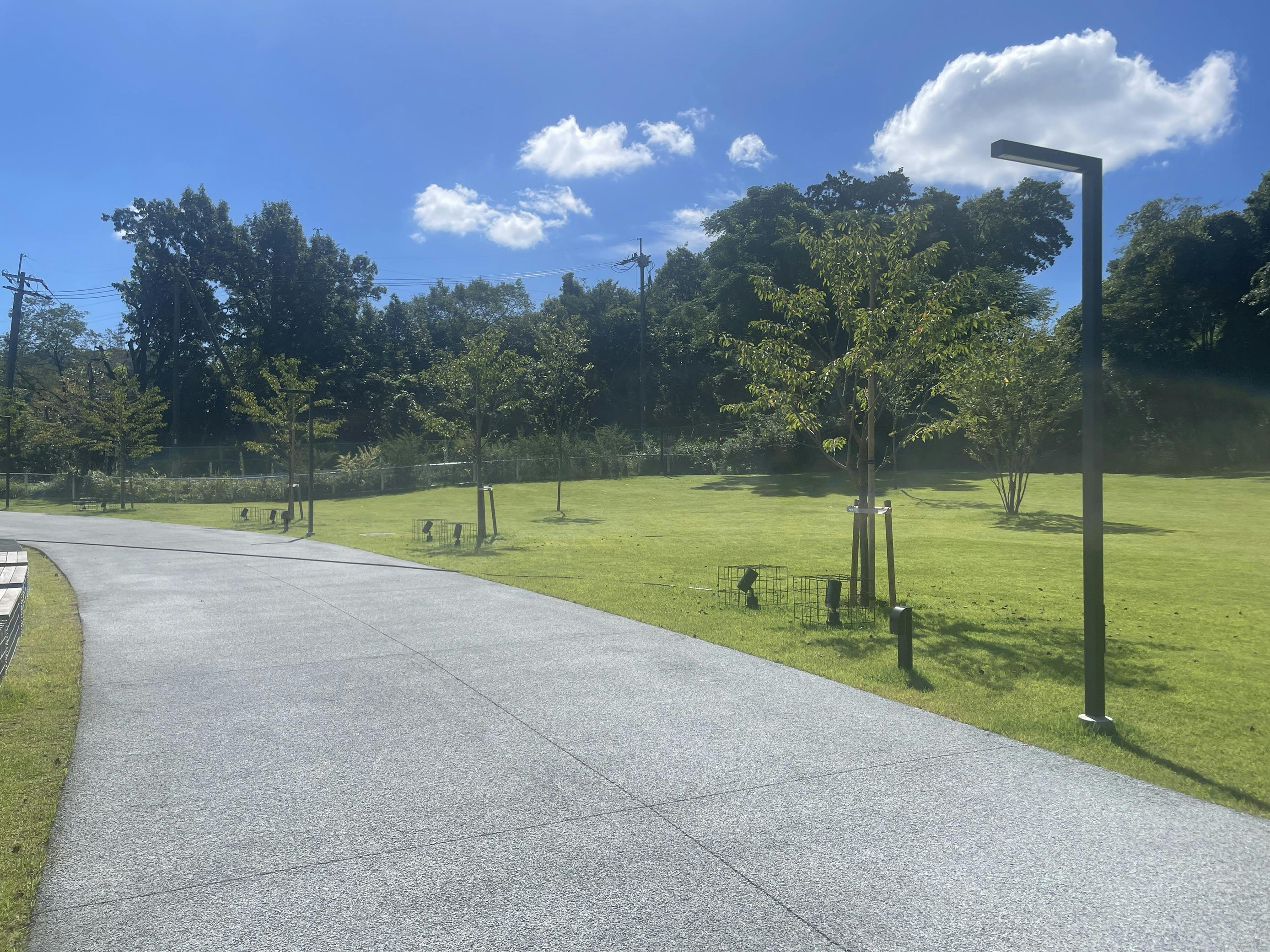 【ダムパークいばきた】キッチンカーに適したさくら広場にある屋外スペース①の画像