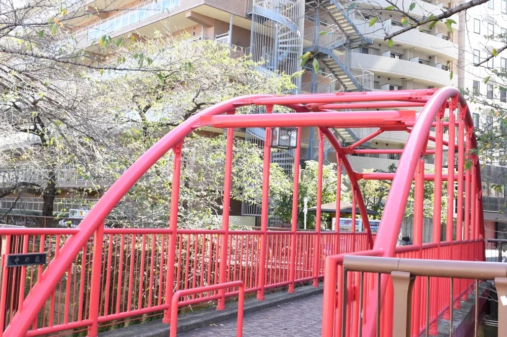 【池尻大橋8分】中目黒からもアクセス可能・目黒川すぐのヴィンテージマンション2フロア独占150㎡の広々スペース・展示会・ポップアップに最適