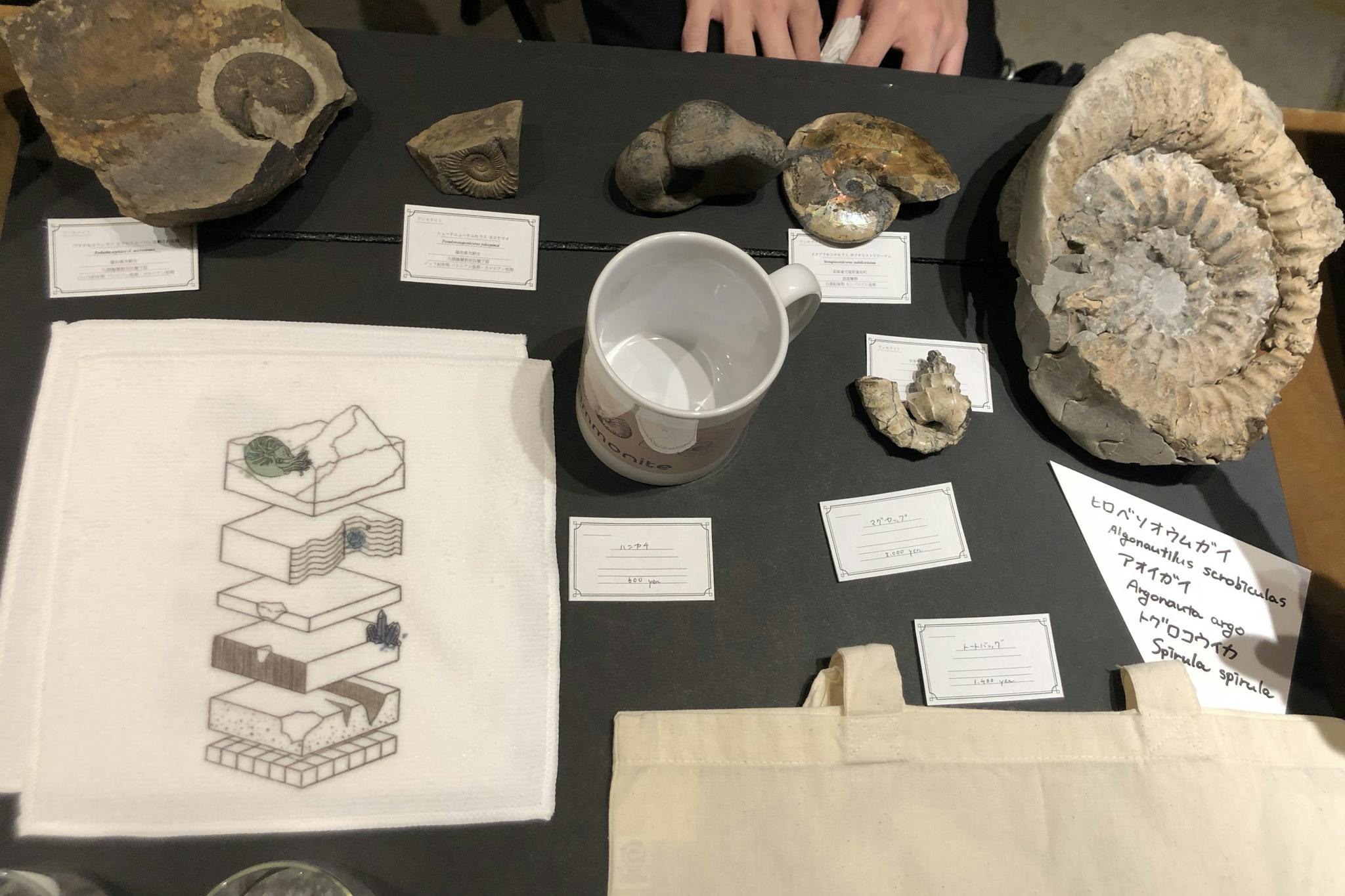 使用例:鉱物展示会