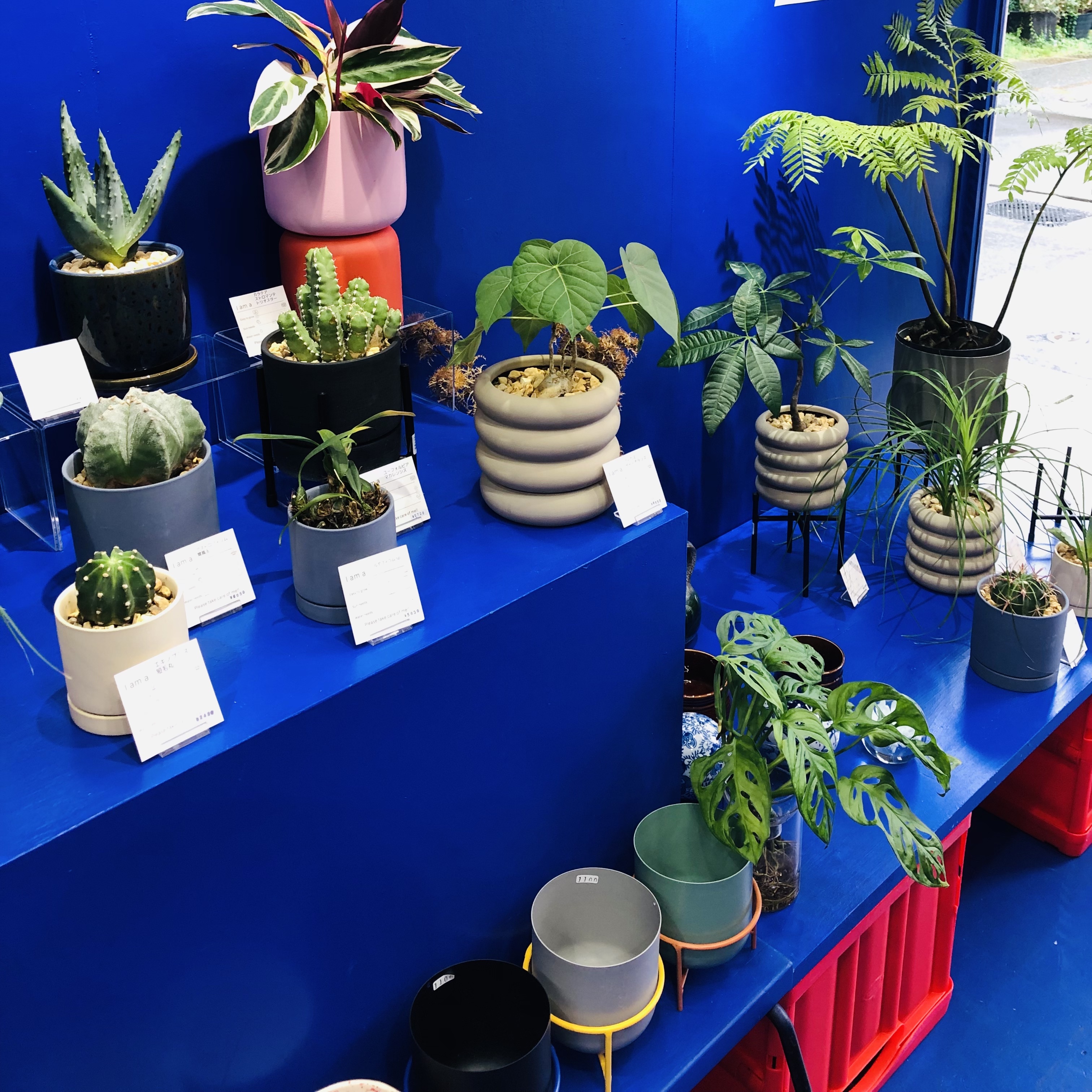 【天神駅10分】古着・雑貨・アートetc...POPUPに最適、裏大名の路面スペースの画像8