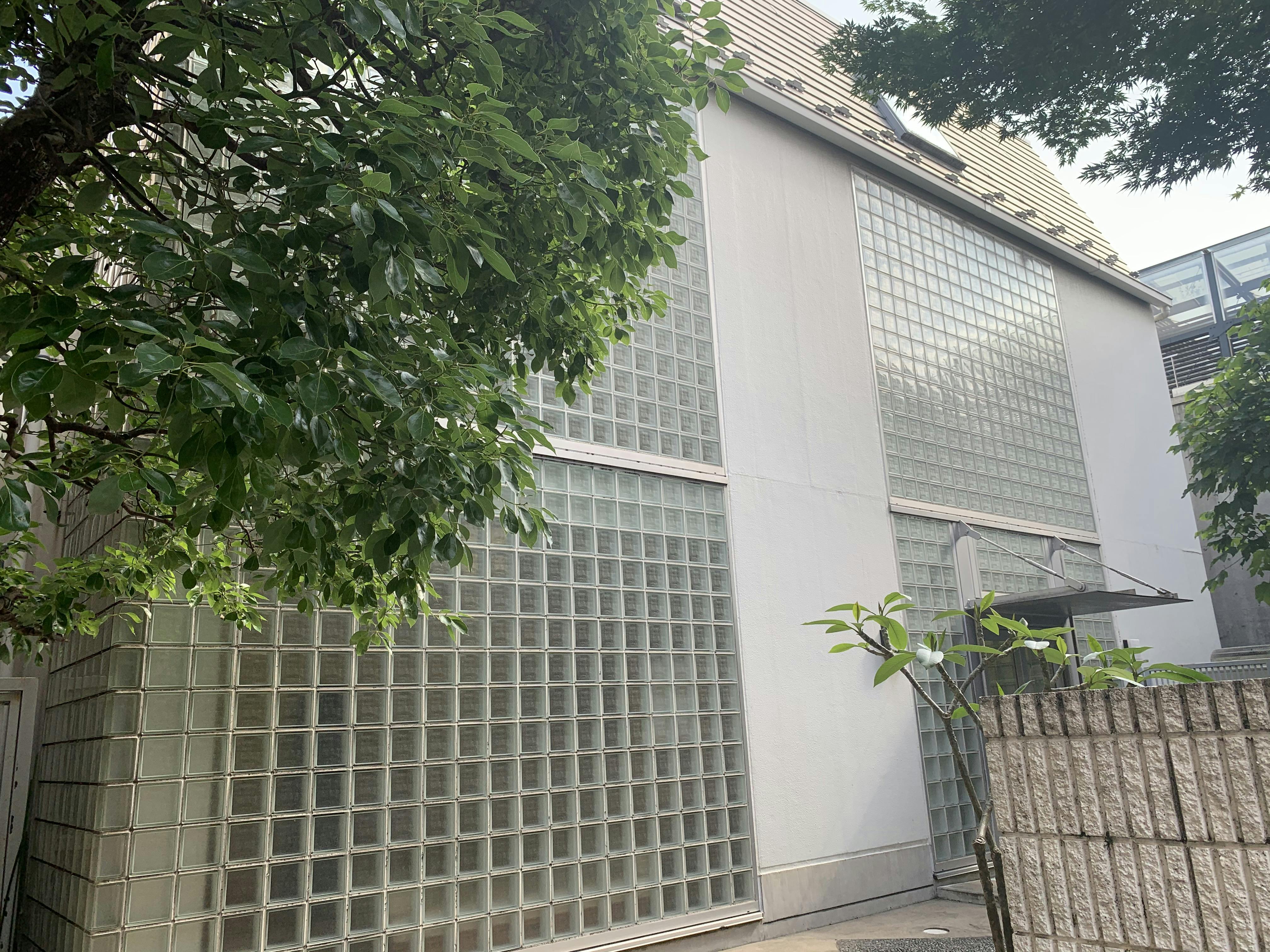天然光の入る明るいショールーム