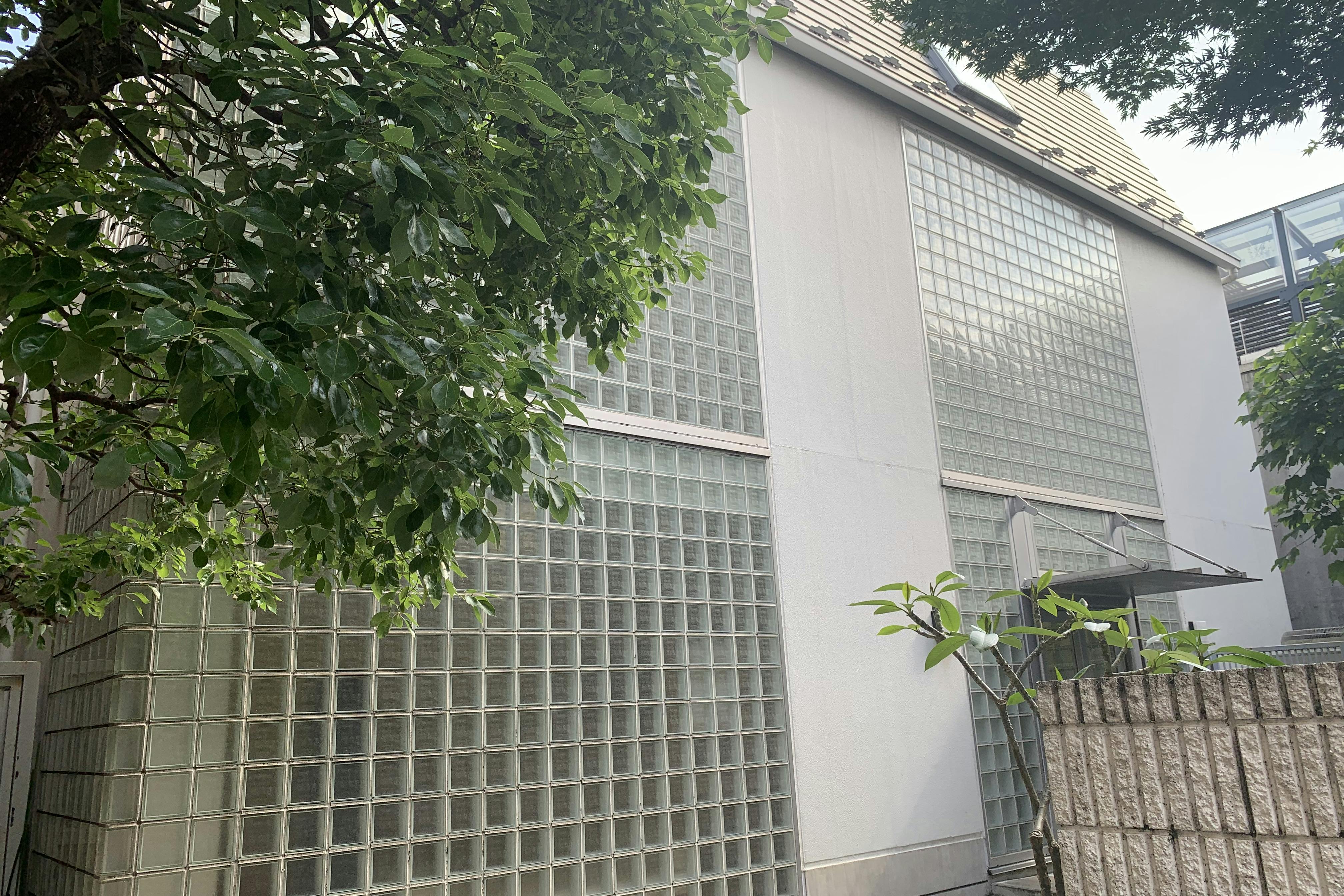 天然光の入る明るいショールーム