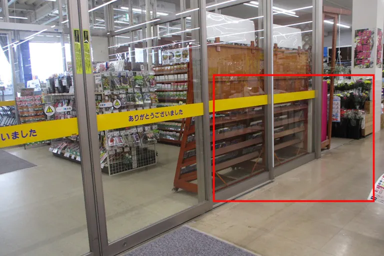 【サンデー矢本店】メインレジ前スペース 食物販やプロモーション等の出店に最適なホームセンター店内のイベントスペースの画像1