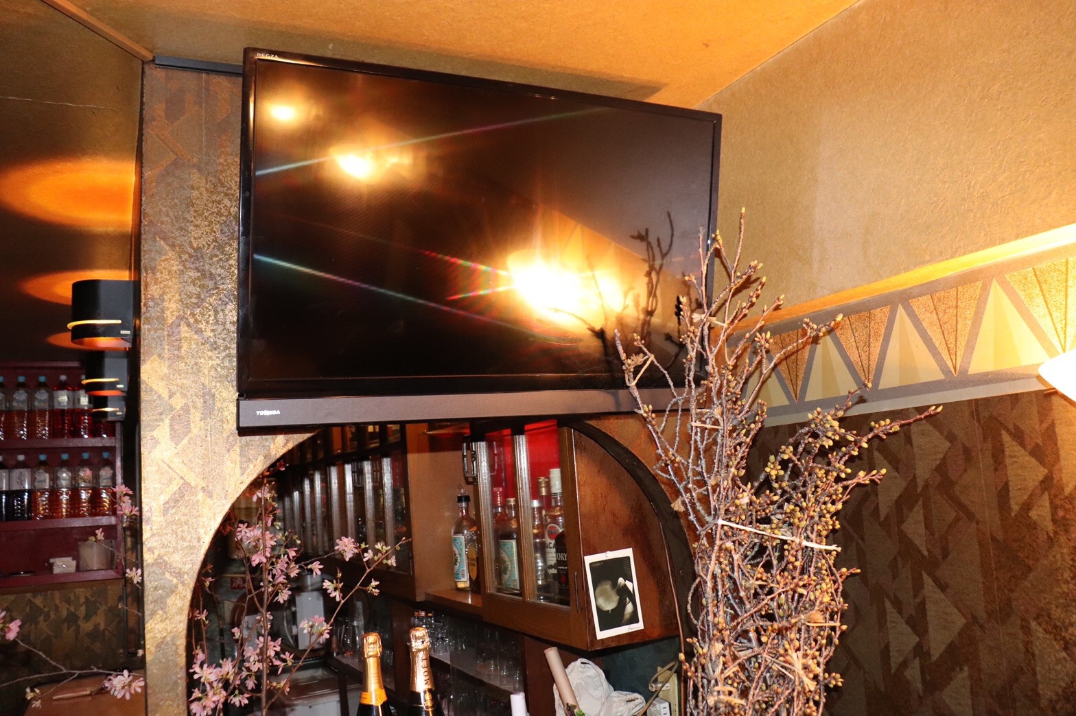 TVモニターの利用が可能です。