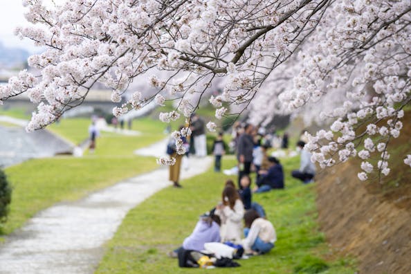 【東京】花見の名所付近でポップアップ・催事におすすめなイベントスペースを探すのイメージ