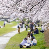 【東京】花見の名所付近でポップアップ・催事におすすめなイベントスペースを探す