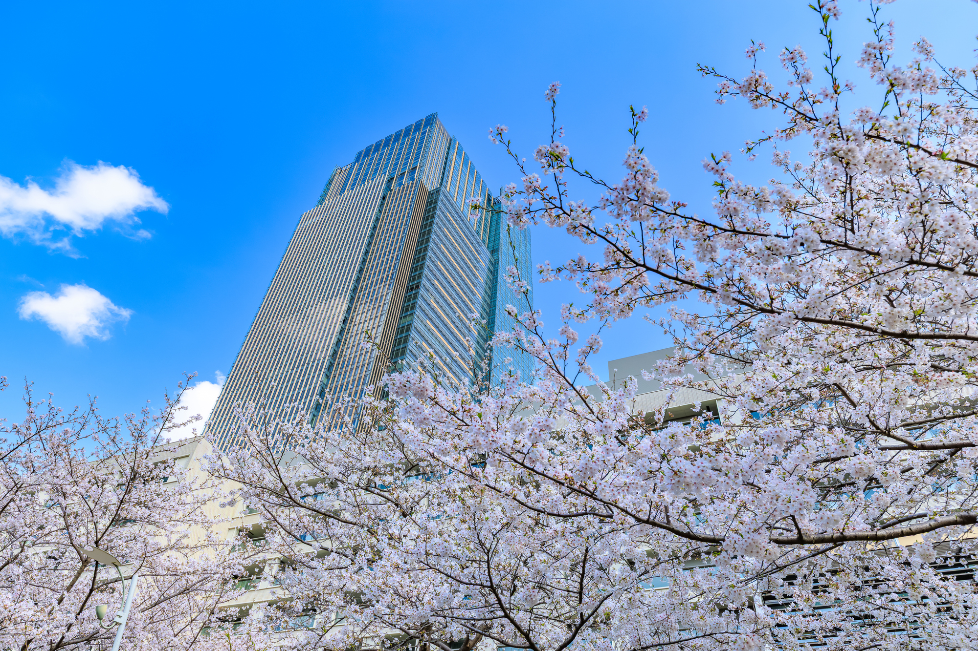 新生活キャンペーンに最適なイベントスペース特集
