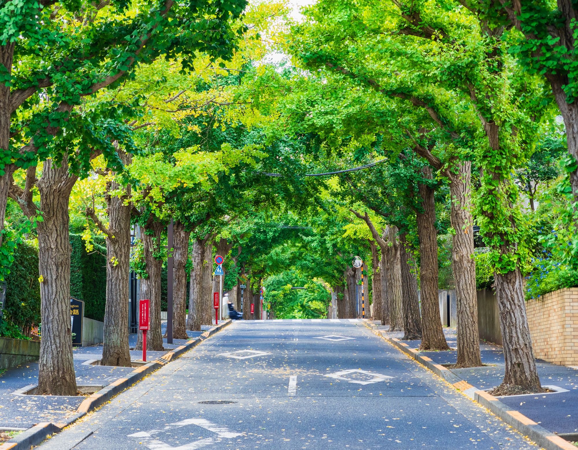 田園調布駅エリアでポップアップ・催事におすすめなイベントスペースを探すのイメージ
